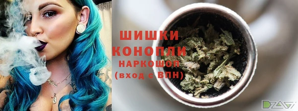 гидропоника Алзамай