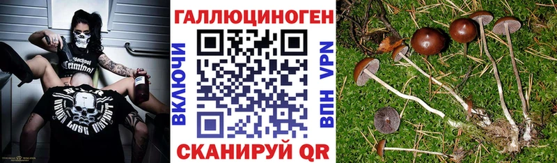 Псилоцибиновые грибы Magic Shrooms Буй